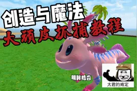 创造与魔法：性价比之王！大顽皮蝾螈抓捕教程！#创造与魔法视频封面