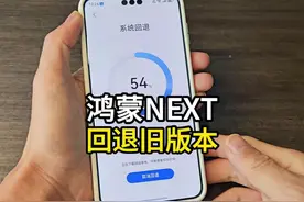 到底是哪些人在用纯血鸿蒙？鸿蒙NEXT如何回退教程 #华为视频封面
