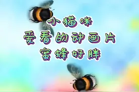 亲测猫咪爱看的动画片，不要忽视对猫咪的陪伴#猫咪看的动画片视频封面