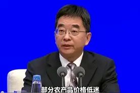 农产品价格低？务农种粮不赚钱了？中央农办：给农民实打实的支持视频封面