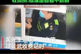 17吨白菜过绿通，以”不新鲜“为借口强收1166元 收费员:标准是看着不新鲜！#绿通 #社会百态 #万万没想到 #白菜视频封面