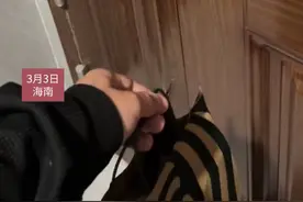 男子顺手把老婆外卖拿上来 结果把她吓哭了视频封面