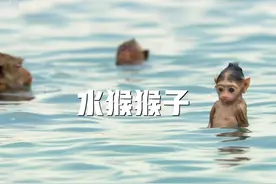 这就是传说中的水猴子？ #神奇大自然纪录片 #动物世界视频封面