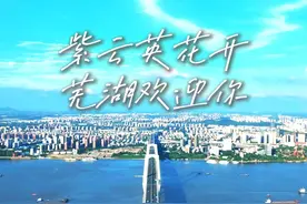 紫云英花开 芜湖欢迎你 #芜湖 #芜湖高校 #芜湖紫云英人才计划视频封面