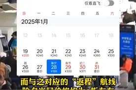 除夕错峰过年反向航班票价低至1折 大年初二机票最便宜 #快来过大年 #2025新春快讯 #机票视频封面