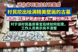 石家庄一村民挖出绘满精美壁画的古墓，官方：已保护并进行考古，朝代待认定#古墓 #壁画 #热点新闻 #民生视频封面
