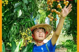 小俊为地面铺了石头地板，并重新打理了下菜园 #越南生活视频封面