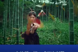 #峨眉派00后女弟子组团出山  #全员能打的中国女团太惊艳了  近日，外交部发言人汪文斌在海外社交平台转载宣传片《武韵峨眉》，向世界推荐峨眉派女子功夫团。该“女团”由一群热爱武术、勇于挑战自我的女孩组成，她们将峨眉功夫的精神内涵融入现代生活中。视频封面