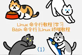 学习Bash命令行 | Linux终端教程（1） #程序代码 #计算机 #编程视频封面