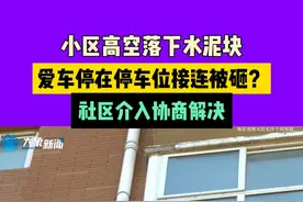 小区高空落下水泥块，爱车停在停车位接连被砸？社区介入协商解决视频封面