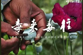 中美芬太尼争端背后，从鸦片到海洛因，毒品的历史渊源与纠葛视频封面