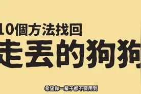 10个方法教你找回走丢的狗狗 #可爱的狗狗 #狗狗 #狗狗百科