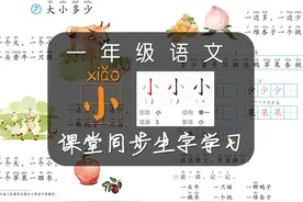 “小”字学习，小学一年级语文课本《大小多少》生字学习视频封面