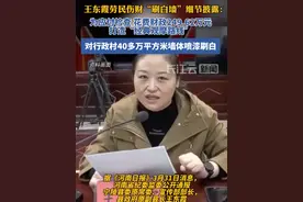 花费财政249.62万！王东霞劳民伤财，“刷白墙”细节披露#反腐倡廉视频封面