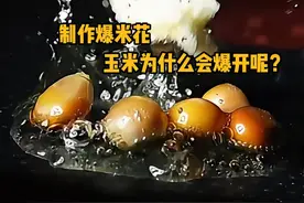 制作爆米花，玉米为什么会爆开？手摇爆米花机又是什么原理呢？ #科普  #解压  #爆米花  #冷知识 #青少年课外知识讲堂视频封面
