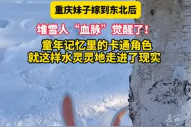 高手！#重庆妹子嫁到东北后堆雪人血脉觉醒  #记忆里的卡通角色就这样走进了现实视频封面