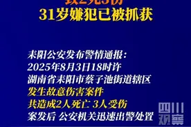 耒阳公安发布警情通报：2025年8月3日18时许，湖南省耒阳市蔡子池街道辖区发生故意伤害案件，共造成2人死亡、3人受伤。案发后，公安机关迅速出警处置，将犯罪嫌疑人段某超（男，31岁）抓获归案。