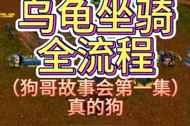 乌龟服乌龟坐骑全流程，18级就可以获得，本周暗月马戏团在联盟方