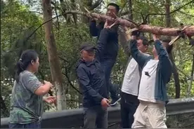 大树倒在马路中间，路人主动上前，合力举起树干，保障车辆顺利通行。视频封面