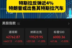 非农数据提振美股上扬 
特斯拉反弹近4%
特朗普或出售其特斯拉汽车