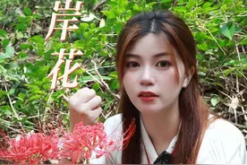 【彼岸花】 花开叶未生，叶生花一落，花叶两不见，犹如相遇，永远相识相知，却不能相恋#彼岸花 #彼岸花开 #彼岸花开无人归 #彼岸花已开视频封面