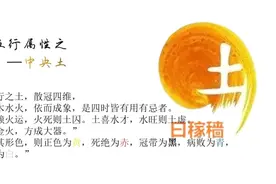 五行属性之 —中央土

如果土不足，可以佩戴黄水晶、发晶视频封面
