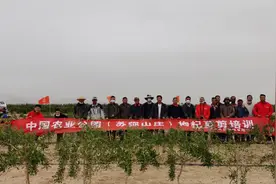 青海元亨启正-中国农业公园(苏弥山庄)枸杞夏剪培训会视频封面