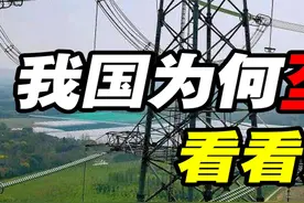 我国为什么要搞电力垄断？看看美国停电的后果，一下就能明白 #抖音知识年终大赏 #电力垄断 #国家电网视频封面