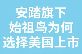 安踏旗下始祖鸟为何选择美国上市！ #始祖鸟 #安踏 #境外上市 #企业 #老板视频封面