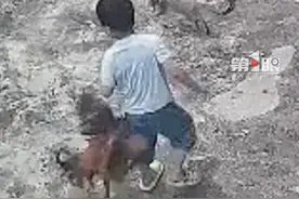 7月11日，四川泸州，#男孩被公鸡追着啄屁股爸爸杀鸡吃席  ，你小时候被公鸡啄过吗？视频封面