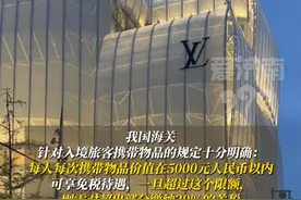第一批去日本扫货的人已经被“税”了，省钱不成反被征高额税。 #日本 #lv #热点 #购物 #海关视频封面