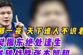 那一夜，天下谁人不识君 #樊振东 #巴黎奥运会 #樊振东张本智和视频封面