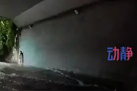 大哥暴雨天救助被困孕妇 本以为是个暖心的故事 结果... #结果出乎意料视频封面