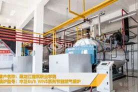 发货黑龙江建筑职业学院 WNS系列节能燃气锅炉#锅炉 #中正锅炉视频封面