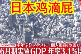 【中日双语】日本第二季度鸡滴屁（GDP）增长较前三个月增长0.8%视频封面