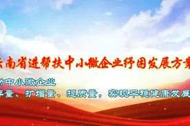 《云南省帮扶中小微企业纾困发展方案》
#云南省 #云南省政策视频封面