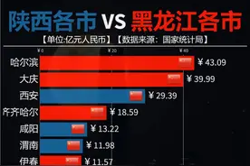 同为北方强省！黑龙江与陕西各市还有多大差距？ #数据可视化 #经济 #黑龙江 #陕西 #西安视频封面