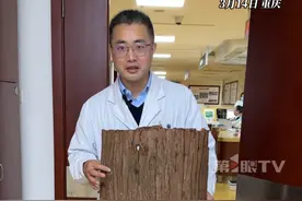 患者骨折不一定都打石膏！#中医巧用杉树皮定制正骨神器  ，很多病人慕名前来治疗。重庆市中医院骨伤科副主任中医师王加俊：杉树皮夹板可以针对性地进行塑性，病人的体验感很好，很少有压迫的不适感。#杉树皮#抖音精选计划视频封面