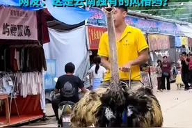云南人的坐骑又更新了 男子骑着鸵鸟逛街 网友：这是云南独有的风格吗？#云南视频封面