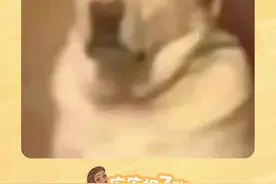 才知道喝咖啡犯困是过敏啊，还以为是体质好呢 #过敏  #中国人#万万没想到 #娱乐评论大赏 #搞笑视频封面