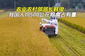 农业农村部部长韩俊：我国人均500公斤粮食占有量视频封面