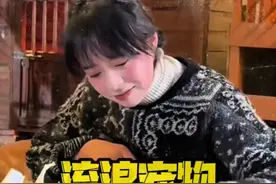“她就是毛孩子世界里的大英雄” #流浪猫救助  #打包剩菜视频封面