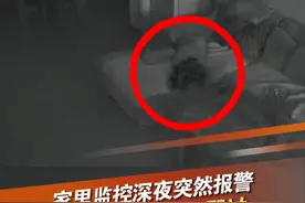 诡异！近日，重庆一女子深夜家里的监控突然报警，查看监控发现一团不明黑影从客厅飘过！一番检查，却并未发现任何异常。不明黑影，到底是什么呢？（来源：弄晴）#诡异事件 #监控  #悬疑 @抖音短视频视频封面