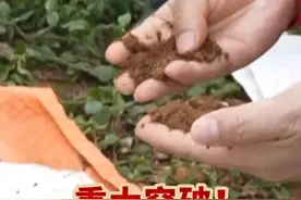 重大突破！潜在资源达115万吨！#我国在云南新发现超大规模稀土矿 有望成为中国最大的中重稀土矿床！视频封面