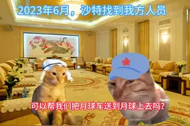 你们是懂技术的 #猫meme #猫猫剧场 #沙特 #300亿 #月球车视频封面