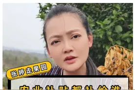 农业补贴怎么农民那么难领到？扩大信息渠道，简化流程刻不容缓 #张婷同学 #补贴 #农业视频封面