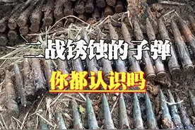 这些二战遗址中的生锈子弹，你都认识吗#军事科技 #二战视频封面