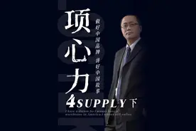 《项心力》做好中国品牌 讲好中国故事  下 #品牌建设 #企业管理视频封面