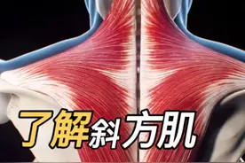 了解斜方肌， 不要再盲目追求“天鹅颈”了！#人体结构 #运动解剖视频封面