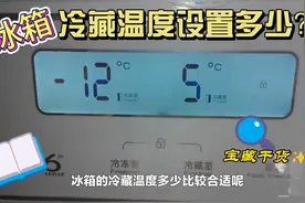 冰箱冷藏室设置多少温度合适？我家一直是5℃用的挺好#实用分享视频封面